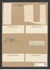 Stauroneis gregoryi Ralfs (de-Toni-Nr.: Genus 6, Species 885) Zeichnungen Sammlung Grunow Nr. 1745 (NHMW-BOT-W0368629)